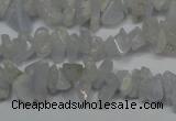 CCH205 34 inches 3*5mm blue chalcedony chips gemstone beads wholesale