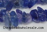 CCH294 34 inches 8*12mm dyed kyanite chips gemstone beads wholesale