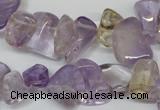 CCH314 15.5 inches 10*15mm ametrine chips gemstone beads wholesale