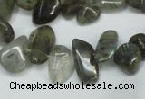 CCH320 15.5 inches 10*15mm labradorite chips gemstone beads wholesale