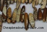 CCH345 15.5 inches 5*20mm picture jasper chips beads wholesale