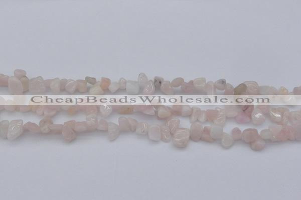 CCH626 15.5 inches 6*8mm - 10*14mm morganite gemstone chips beads