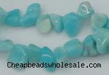 CCH631 15.5 inches 6*8mm - 10*14mm Peru amazonite chips beads