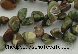 CCH637 15.5 inches 6*8mm - 10*14mm rhyolite gemstone chips beads