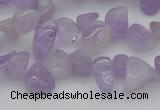 CCH641 15.5 inches 6*8mm - 10*14mm lavender amethyst chips beads