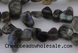 CCH642 15.5 inches 6*8mm - 10*14mm labradorite chips beads