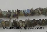 CCH645 15.5 inches 4*6mm - 5*8mm labradorite chips beads