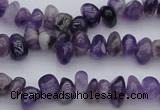 CCH649 15.5 inches 4*6mm - 5*8mm amethyst gemstone chips beads