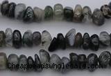 CCH663 15.5 inches 4*6mm - 5*8mm moss agate chips beads