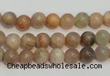 CCS303 15.5 inches 8mm round natural sunstone beads wholesale