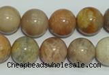 CCS307 15.5 inches 16mm round natural sunstone beads wholesale