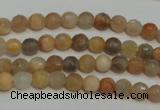 CCS310 15.5 inches 6mm faceted round natural sunstone beads