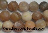 CCS313 15.5 inches 12mm faceted round natural sunstone beads