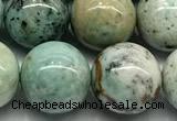 CCS943 15 inches 12mm round chrysocolla beads