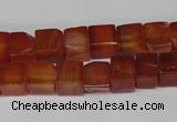 CCU67 15.5 inches 8*8mm cube red agate beads wholesale