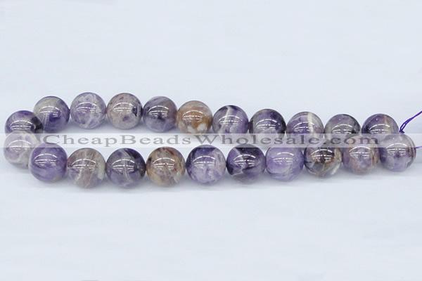 CDA57 15.5 inches 18mm round dogtooth amethyst beads wholesale