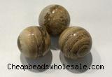 CDN1127 30mm round picture jasper decorations wholesale