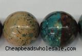 CDS29 15.5 inches 24mm round dyed serpentine jasper beads