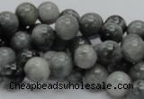 CEE05 15.5 inches 10mm round eagle eye jasper beads wholesale