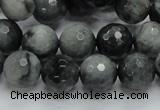 CEE22 15.5 inches 12mm faceted round eagle eye jasper beads wholesale