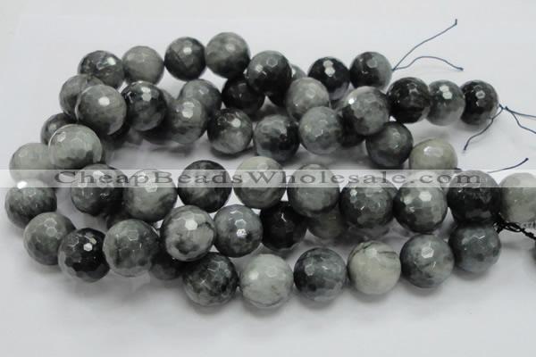 CEE25 15.5 inches 20mm faceted round eagle eye jasper beads wholesale