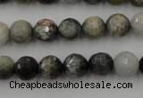 CEE353 15.5 inches 10mm faceted round eagle eye jasper beads