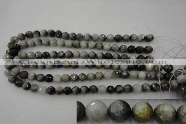 CEE353 15.5 inches 10mm faceted round eagle eye jasper beads