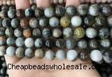 CEE526 15.5 inches 10mm round eagle eye jasper beads wholesale