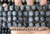 CEE544 15.5 inches 12mm round eagle eye jasper gemstone beads