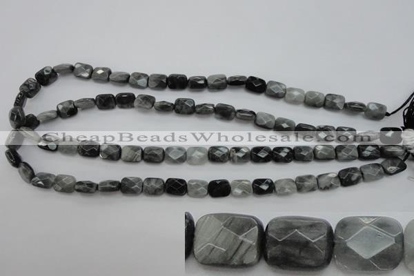 CEE80 15.5 inches 8*10mm faceted rectangle eagle eye jasper beads