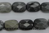 CEE81 15.5 inches 12*16mm faceted rectangle eagle eye jasper beads