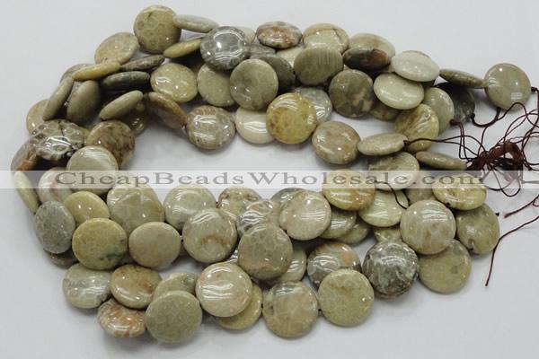 CFA08 15.5 inches 20mm flat round chrysanthemum agate gemstone beads