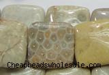 CFA18 15.5 inches 25*25mm square chrysanthemum agate beads