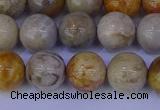 CFC203 15.5 inches 10mm round fossil coral beads wholesale