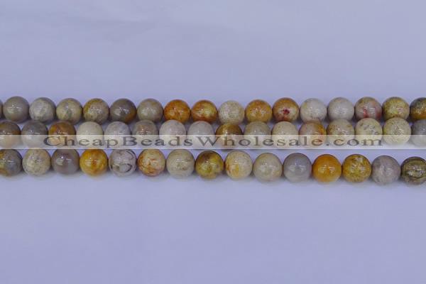 CFC203 15.5 inches 10mm round fossil coral beads wholesale