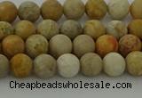 CFC221 15.5 inches 6mm round matte fossil coral beads wholesale