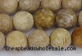 CFC231 15.5 inches 10mm faceted round fossil coral beads