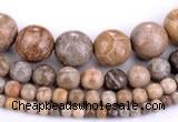 CFC55 15.5 inches round coral fossil jasper beads wholesale