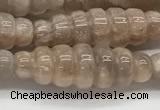 CFG1543 15.5 inches 10*30mm carved rice moonstone beads