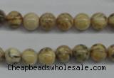 CFS02 15.5 inches 10mm round natural feldspar gemstone beads