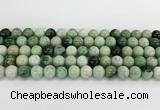 CGA726 15.5 inches 10mm round hydrogrossular gemstone beads