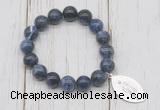 CGB6819 10mm, 12mm sodalite beaded bracelet with alloy pendant