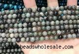 CGJ510 15.5 inches 4mm round green forst jasper beads wholesale