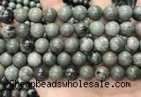 CGJ514 15.5 inches 12mm round green forst jasper beads wholesale