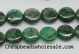 CKC108 16 inches 12mm flat round natural green kyanite beads wholesale