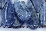 CKC821 15 inches 10*20mm - 16*30mm flat teardrop blue kyanite beads