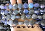 CLB1023 15.5 inches 12mm faceted coin labradorite gemstone beads