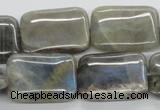 CLB124 15.5 inches 18*25mm rectangle labradorite gemstone beads wholesale