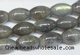 CLB151 15.5 inches 10*16mm rice labradorite gemstone beads