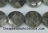 CLB193 15.5 inches 20mm faceted coin labradorite gemstone beads